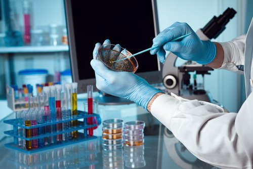 Laboratory Medicne & Pathology 