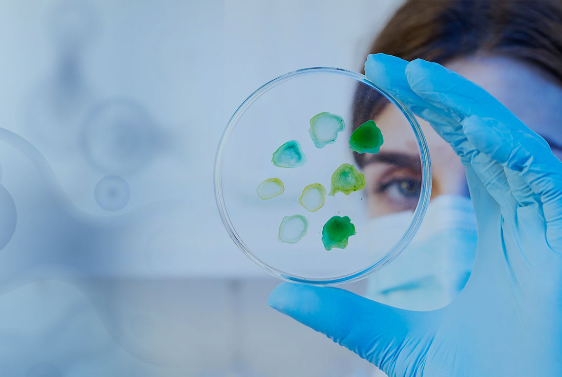 Department of Microbiology 